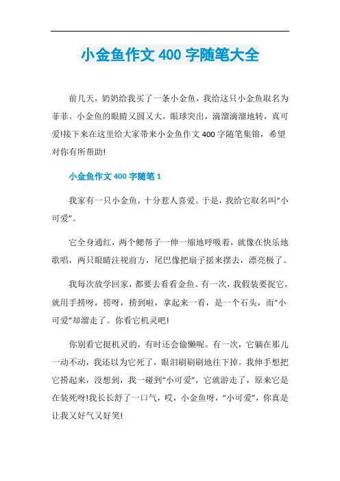小金鱼作文400字随笔大全