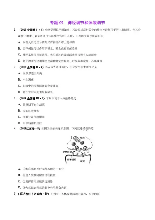 专题09 神经调节与体液调节-2019年高考真题和模拟题分项汇编生物(原卷版)