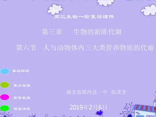 高三生物一轮复习人和动物体的三大营养物质代谢课件