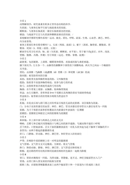 动物解剖
