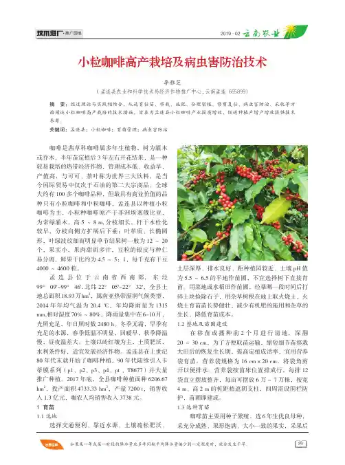 小粒咖啡高产栽培及病虫害防治技术