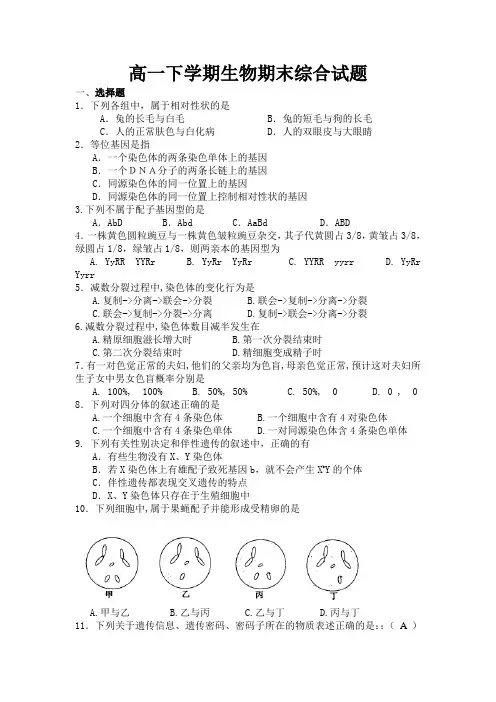 高一生物下学期期末试卷