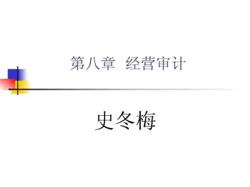 经济效益审计课件(1)精品文档