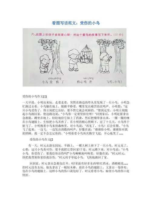 看图写话范文：受伤的小鸟