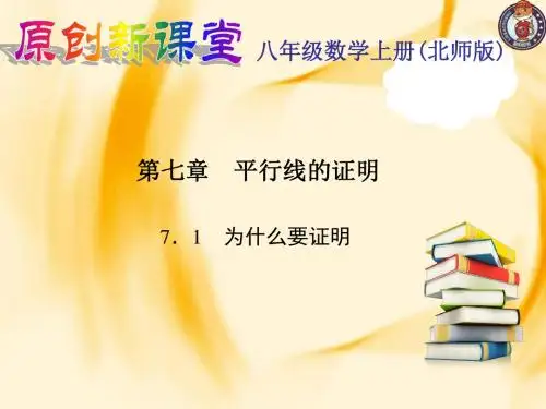 7.1 为什么要证明2929119119