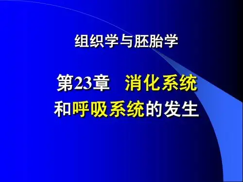 消化系统