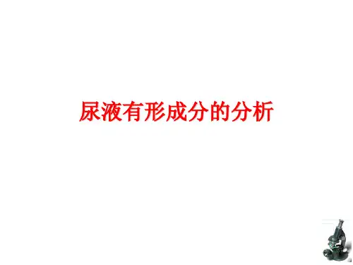 尿液有形成分分析