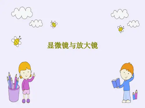 显微镜与放大镜共24页文档