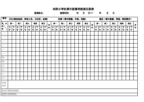 少先队检查表公示