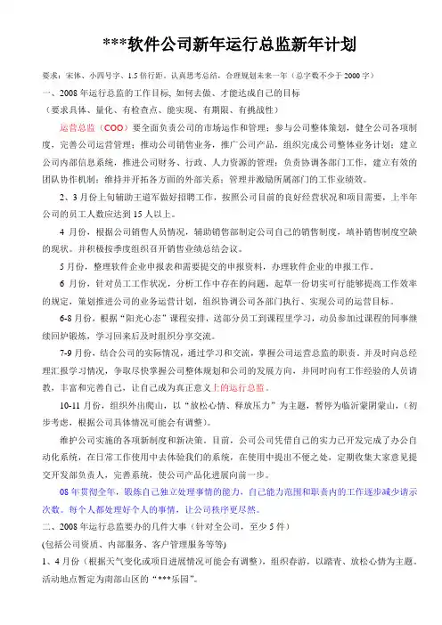 运营总监新年工作总结