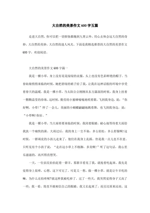 大自然的美景作文600字五篇