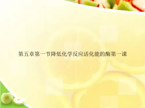 第五章第一节降低化学反应活化能的酶第一课ppt文档