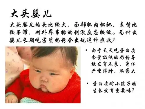 高一生物蛋白质1
