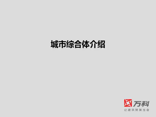 城市综合体万科资料