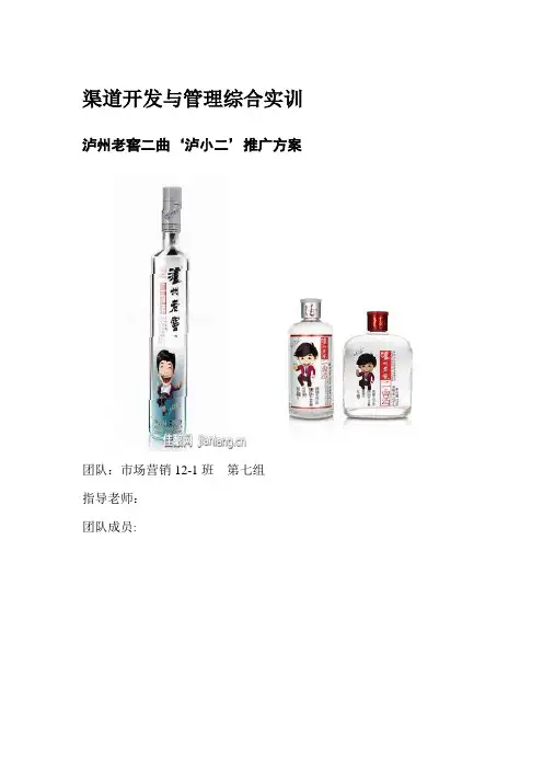 泸小二推广方案