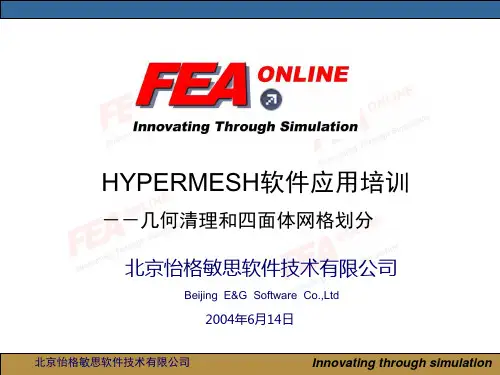 几何清理和四面体网格