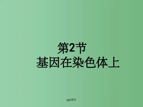 高中生物 第2节 基因在染色体上 新人教版必修2
