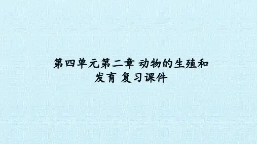 济南版八年级生物上册:第二章 动物的生殖和发育 复习课件(共23张PPT)