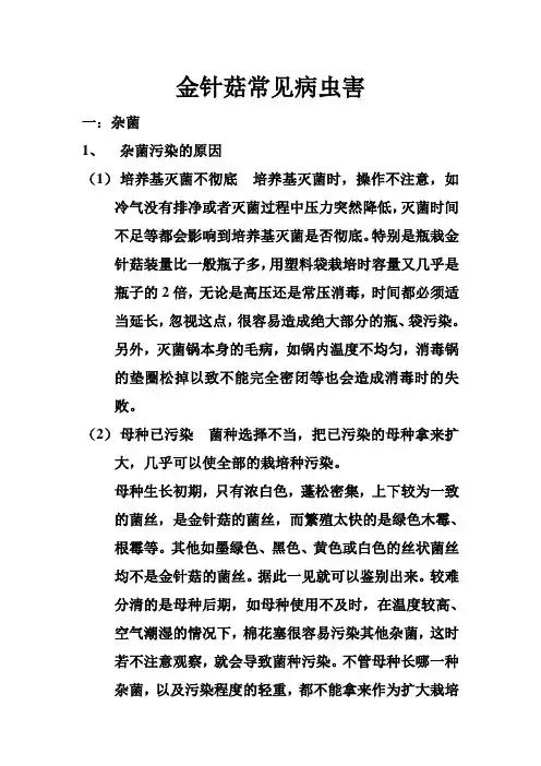金针菇常见病虫害