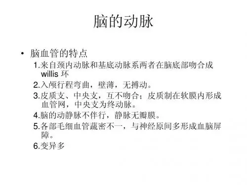 脑血管