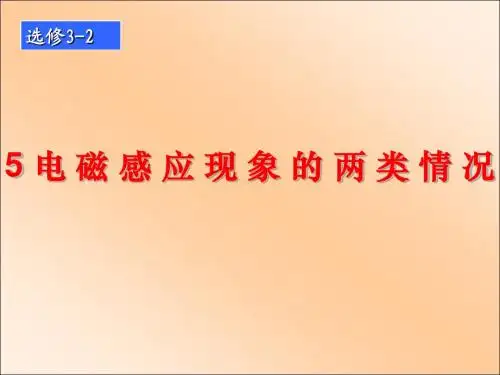 4.5电磁感应现象的两类情况