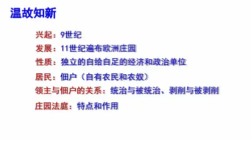 中世纪城市和大学的兴起