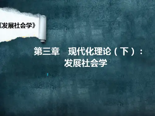 第三章 现代化理论(下)