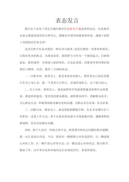 表态发言