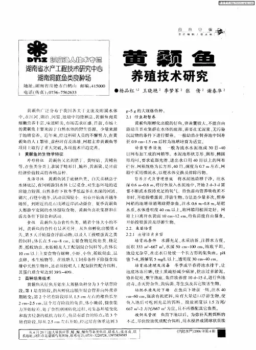 黄颡鱼养殖技术研究