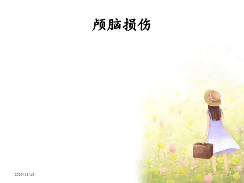 颅脑损伤 ppt课件