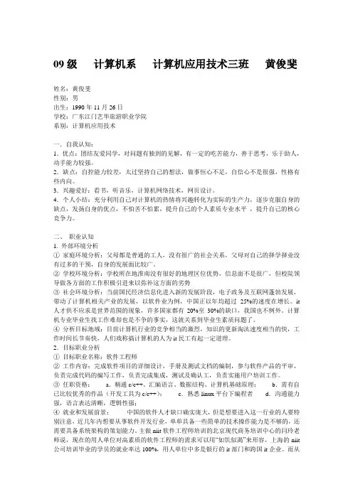 计算机系专业职业生涯规划书