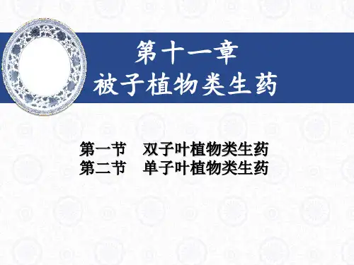 马兜铃科——细辛