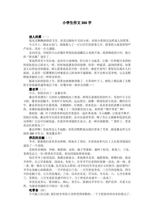 小学生作文300字