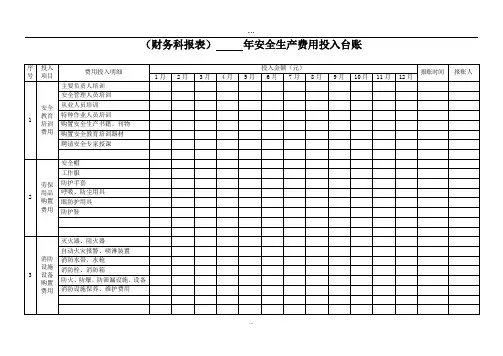 安全生产费用投入台账(模版报表)