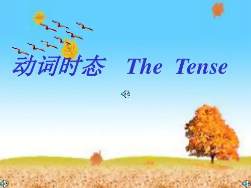 英语语法句子时态与强调句的讲解与练习