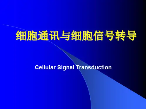 细胞通讯与细胞信号转导