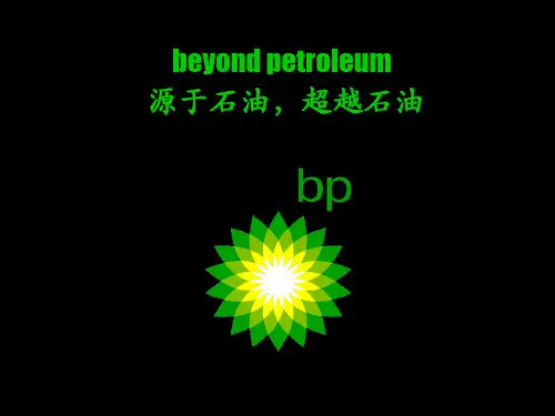 bp嘉实多集团介绍