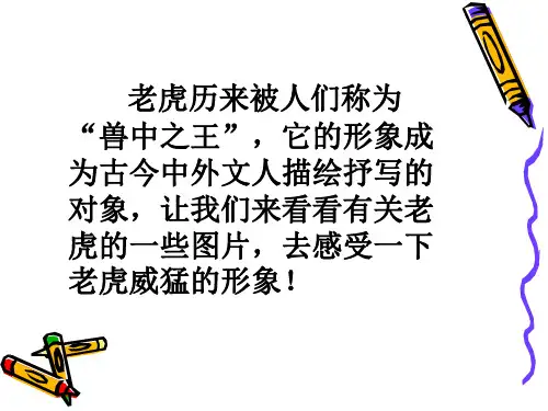 老虎历来被人们称为“兽中之王”,它的形象成为古今中外