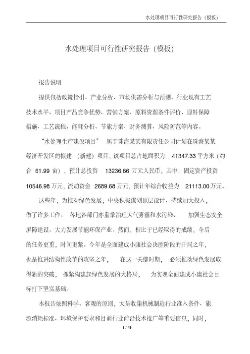 水处理项目可行性研究报告(模板)
