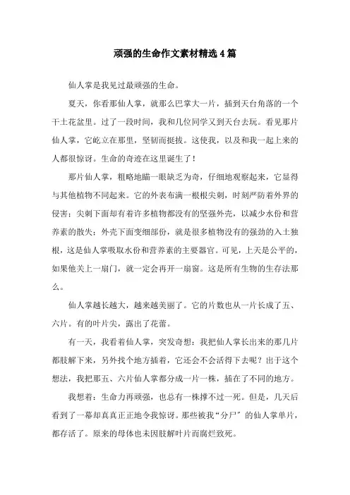 顽强的生命作文素材4篇精选