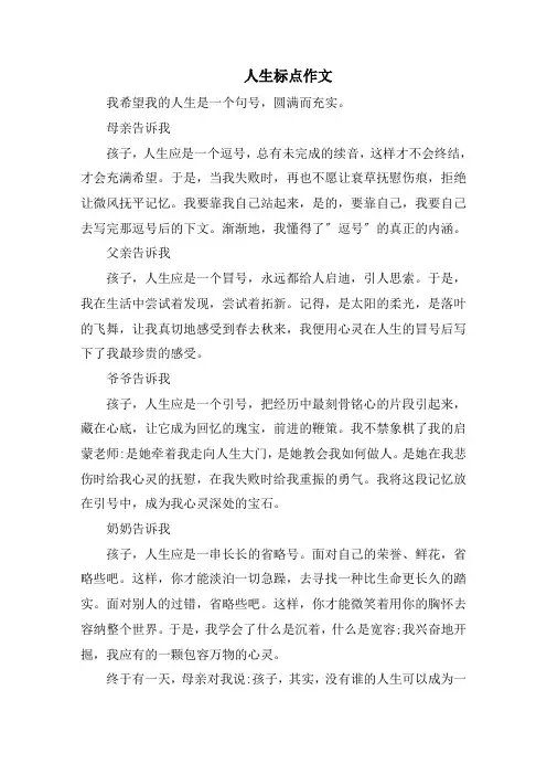人生标点作文精选