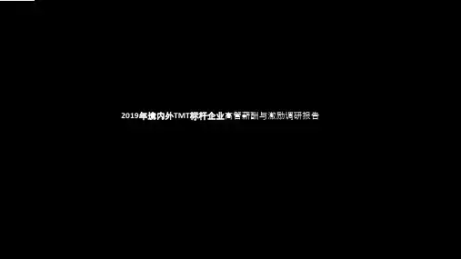 境内外TMT标杆企业高管薪酬与激励调研报告