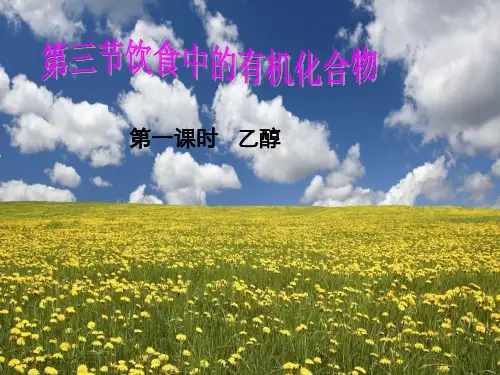 饮食中有机化合物乙醇