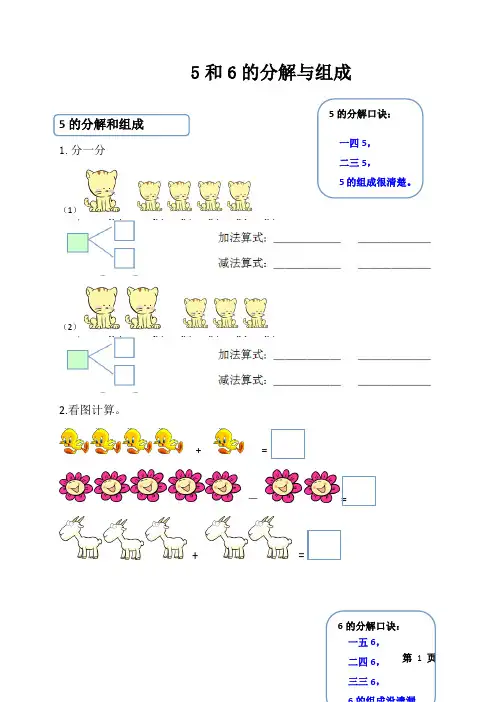 5和6的分解与组成