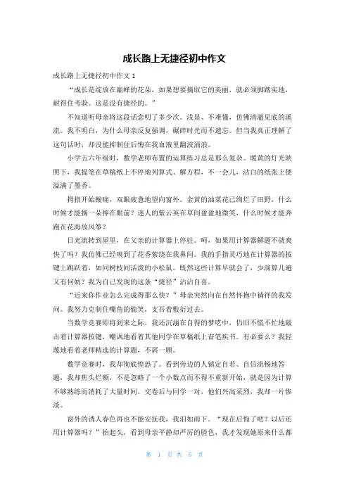 成长路上无捷径初中作文