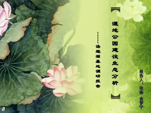 汤逊湖湿地调研报告