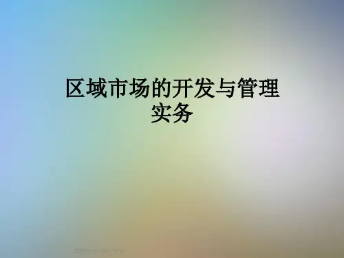 区域市场的开发与管理实务