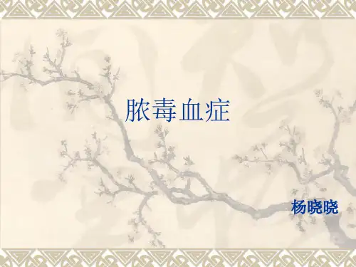脓毒血症病例讨论精要