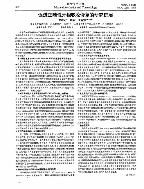 促进正畸性牙根吸收修复的研究进展