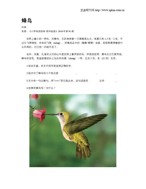 蜂鸟